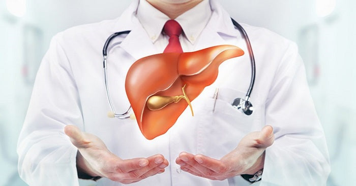 Chăm sóc gan với thảo dược – Bảo vệ từ tế bào, tránh gánh nặng sức khỏe
