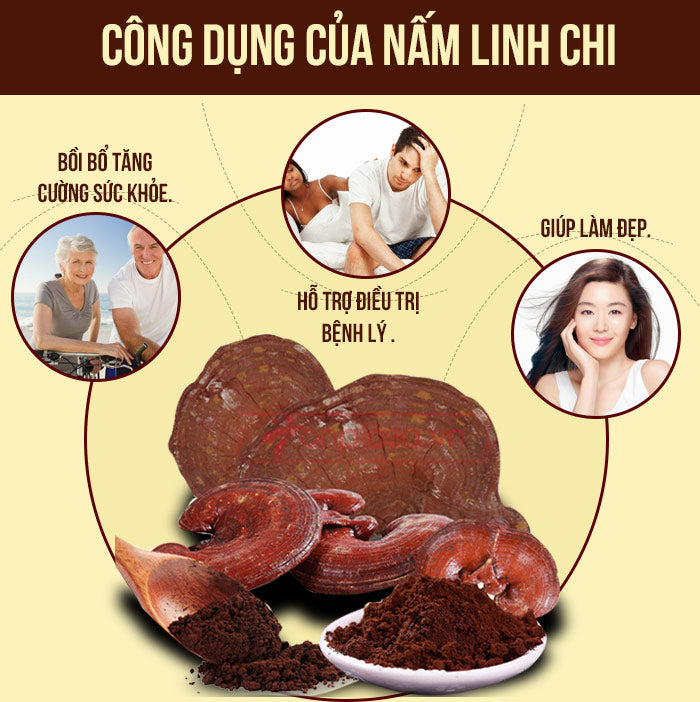 Trà Linh Chi Đỏ có thực sự tốt cho sức khỏe? Những sự thật bạn cần biết