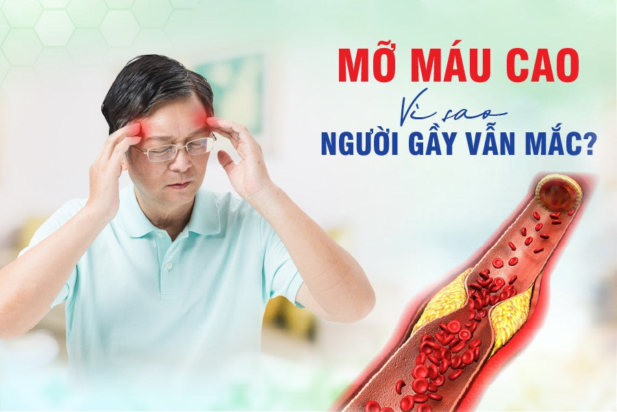 Người gầy cũng có nguy cơ bị mỡ máu cao – Lý do và giải pháp