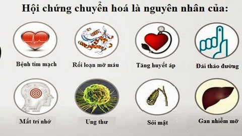 Rối loạn chuyển hóa – Giai đoạn âm thầm trước khi thành bệnh và giải pháp điều chỉnh sớm