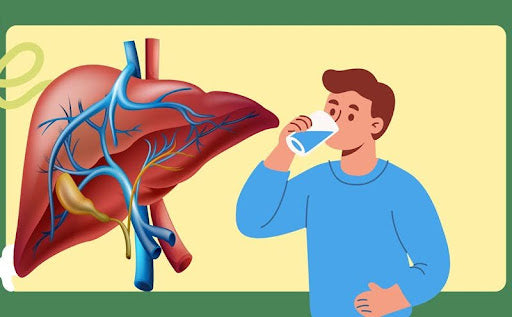Bổ gan tự nhiên – Tăng cường sức khỏe từ tế bào với thảo dược chuẩn sạch