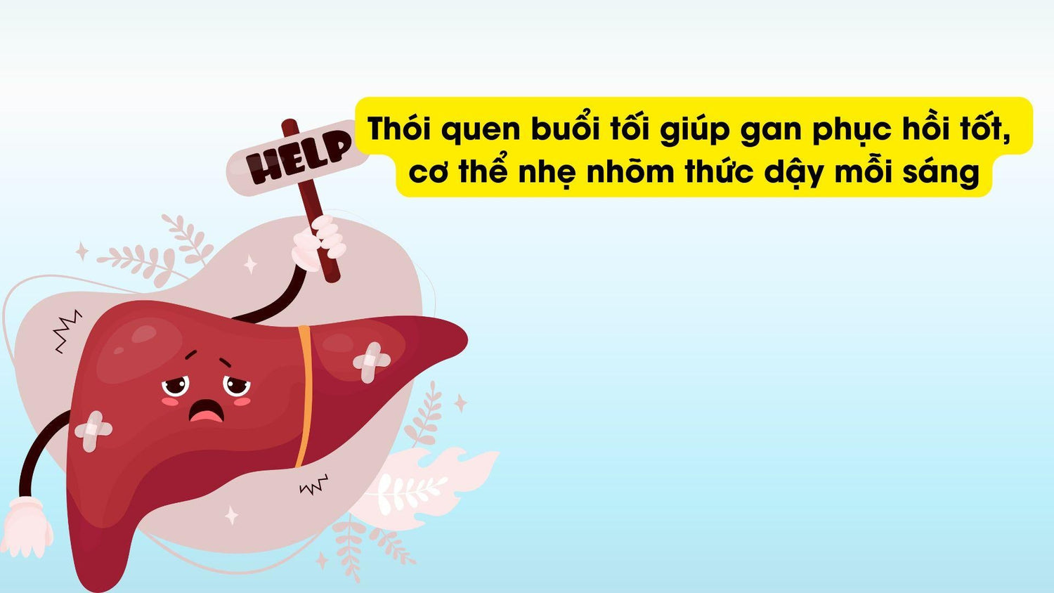 Mất ngủ sau 23h: Góc nhìn từ gan và cơ chế thải độc ban đêm