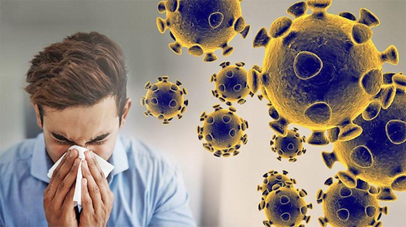 Suy giảm miễn dịch là gì? 8 thói quen giúp cơ thể duy trì sức đề kháng