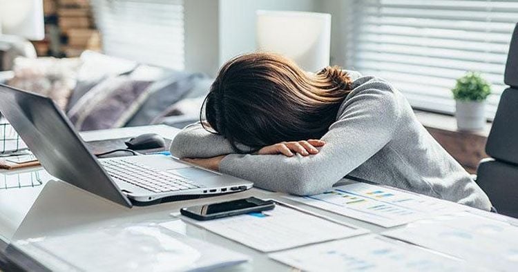 Thường xuyên mệt mỏi? Linh Chi đỏ có thể là “liều thuốc” bạn đang tìm