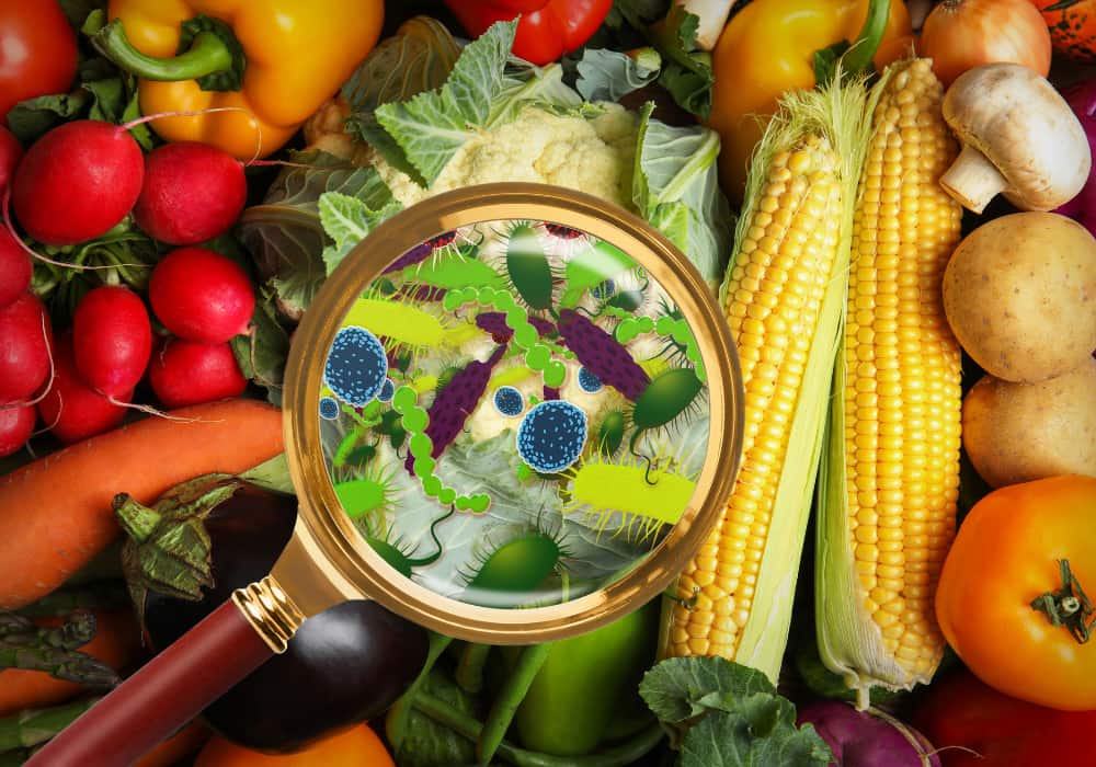 Cơ thể đang tích độc từ thực phẩm mỗi ngày mà bạn không biết – Cách trung hòa bằng thảo dược